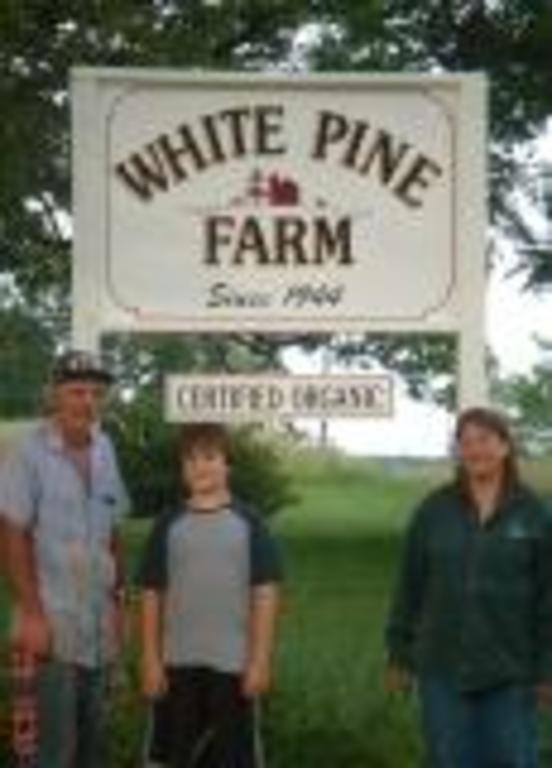 White_pine_farm_pict